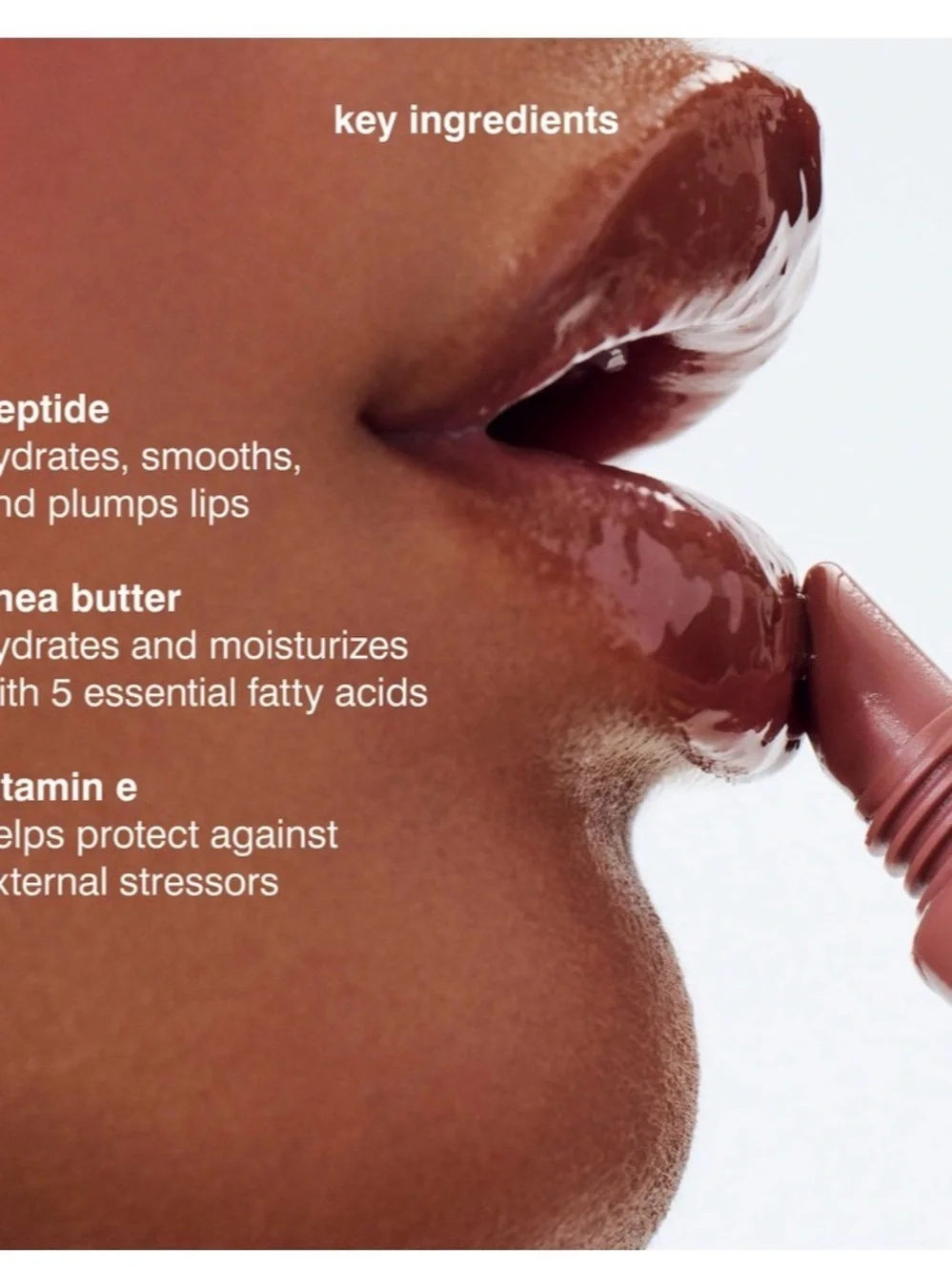 Rhode Peptide Lip Tint — shade is Toast Brand new in box